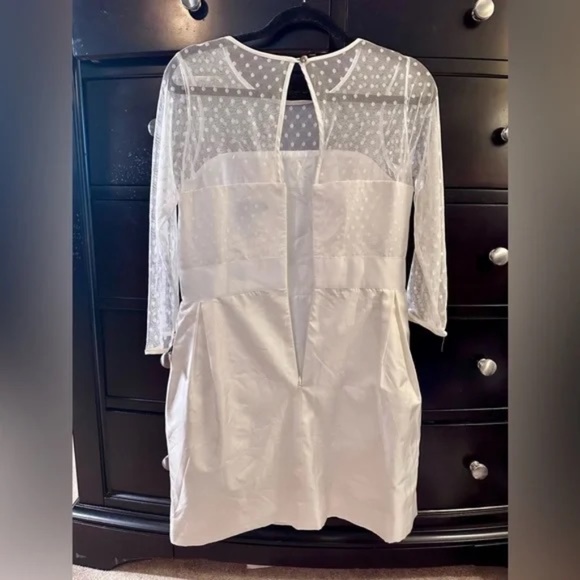 NWT Kimibilla SZ 10 silk dress sophisticated - Picture 4 of 12